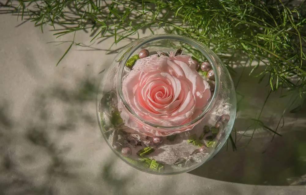 Atelier Aster Flowers Design, aranjamente florale Cluj-Napoca